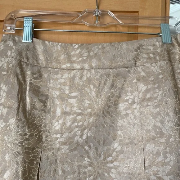 ❇️Ann Taylor pleated taupe/beige silk skirt with gold sequins and thread accents - Picture 3 of 9